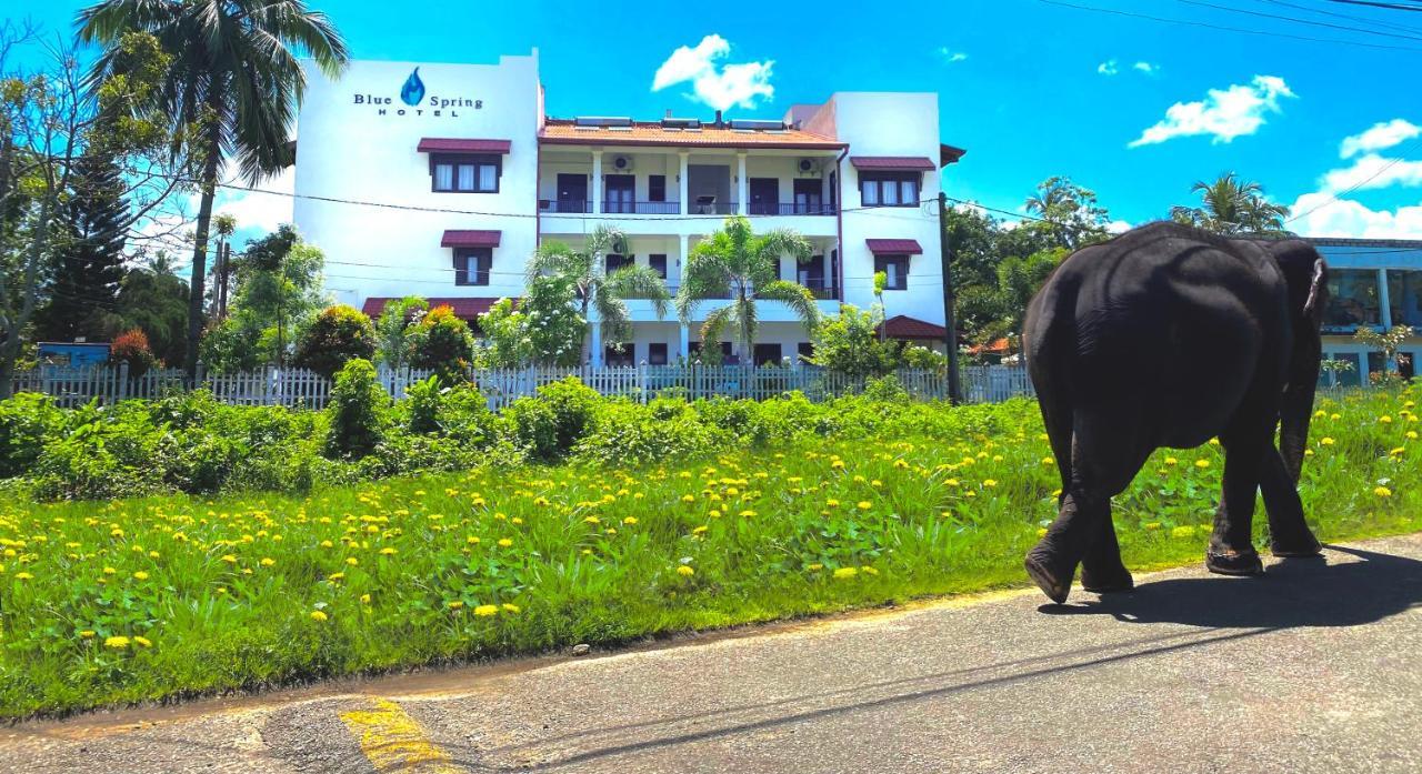 Blue Spring Hotel Wadduwa Zewnętrze zdjęcie